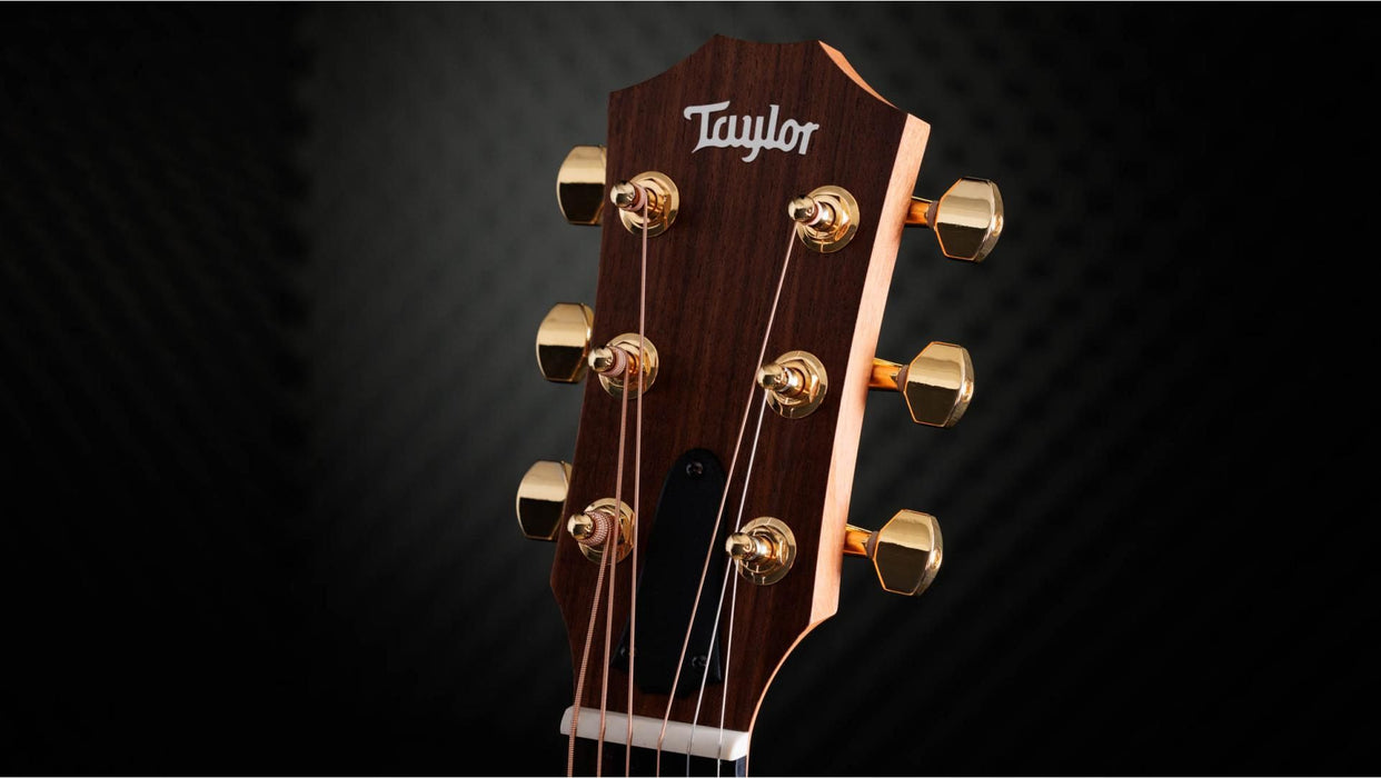 Taylor 50th Anniversary GS Mini-e Rosewood SB LTD